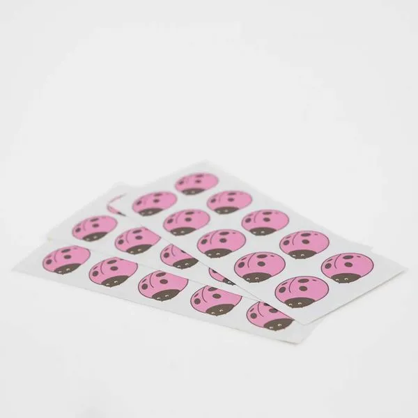 Stickers coccinelle rose baptême Lot ​Boulangerie Pâtisserie Pain Levain Viennoiseries