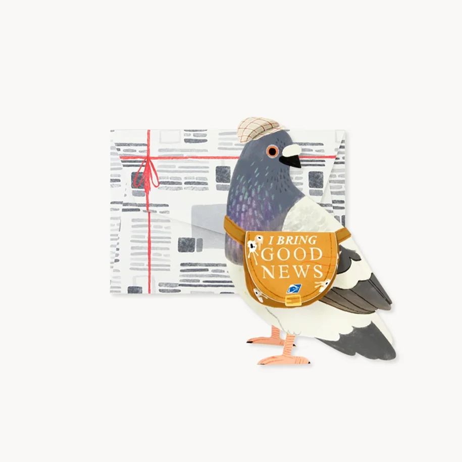 Mini Carte Pop Up Pigeon Organisation maison solutions rangement