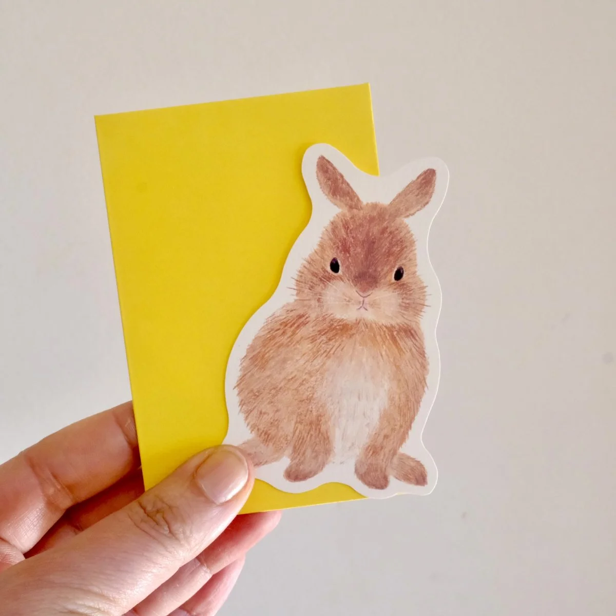 Mini Carte Lapin de techniques Printemps - Organisation de la maison avec des solutions de rangement