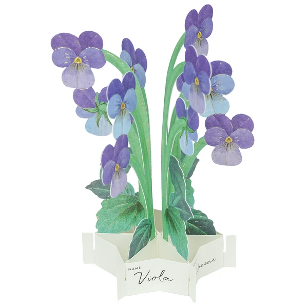 Mini Carte Pop-up Violettes - Organisation de la maison avec des solutions de rangement Désencombrer : liste de contrôle pour l'organisation de la maison [pièce  par pièce] | Wallsauce FR
