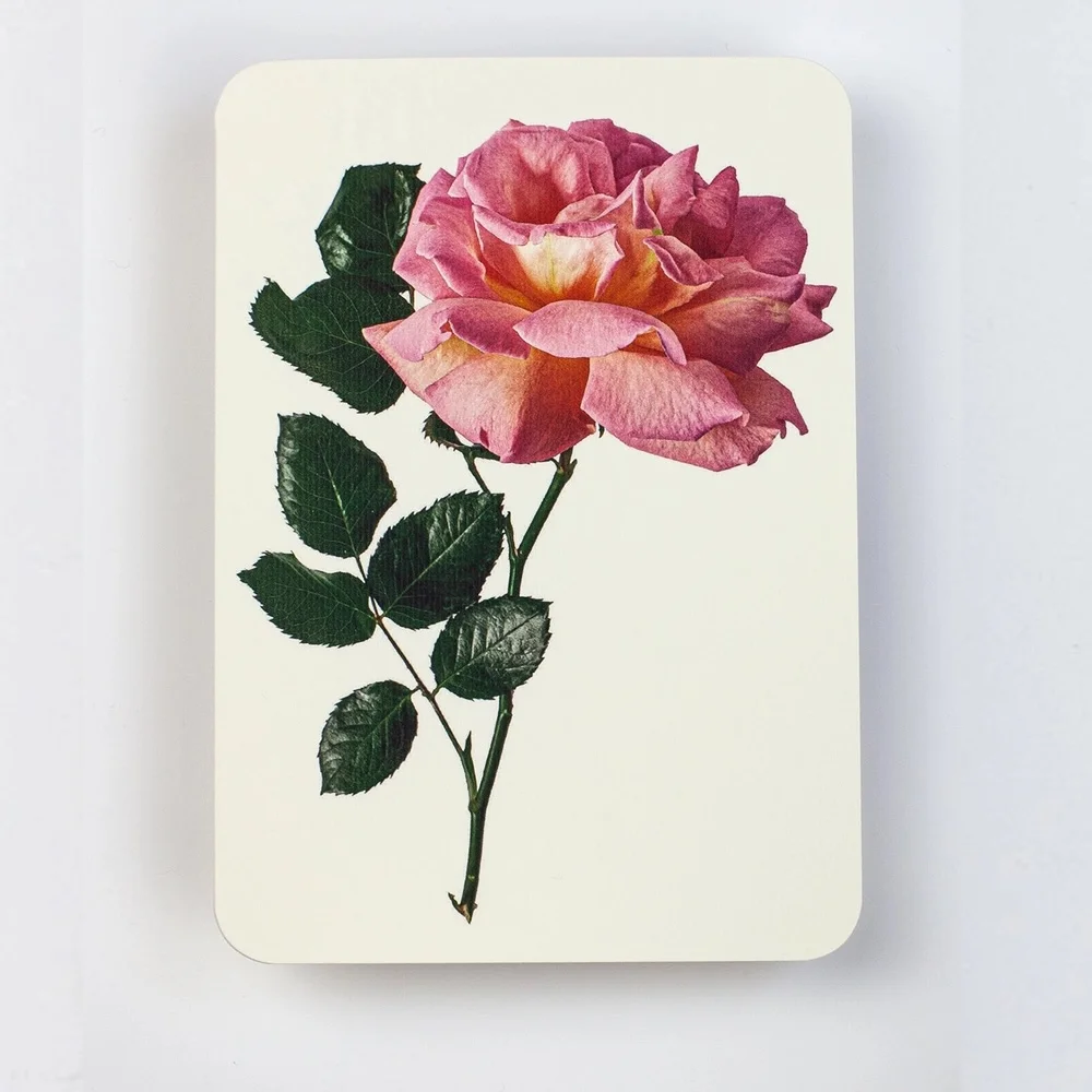 Carte de Voeux Rose Rose Crème - Organisation de la Craftelier maison avec des solutions de rangement