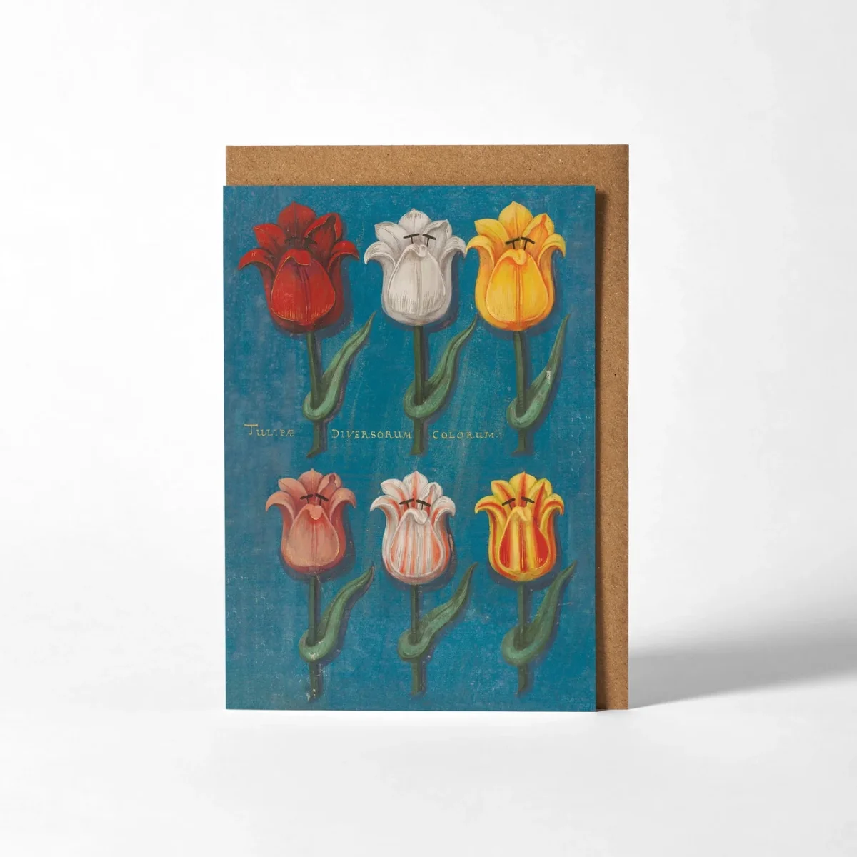 Carte de vœux Fleurs sur fond bleu - Roomytown - Organisation de la maison avec des solutions de rangement Une carte de voeux avec des fleurs séchées derrière une clôture