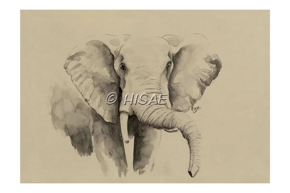 L’éléphant – CARTE POSTALE - Saldi Straordinari – Offerte Speciali Disponibili Adesso - imprimante laser 8211 carte