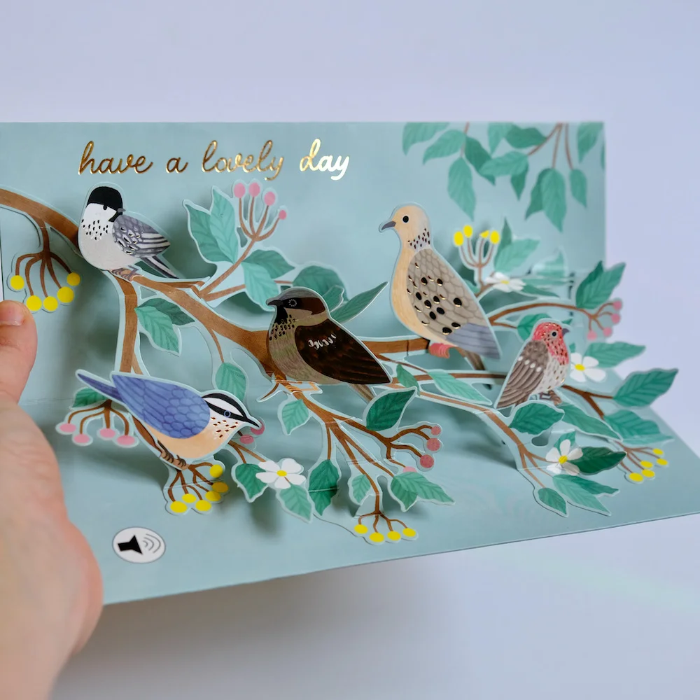 Carte Oiseaux Jardin Organisation maison solutions rangement