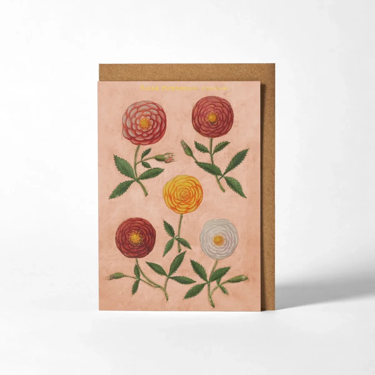 Carte vœux Fleurs fond rose Roomytown Organisation maison solutions rangement