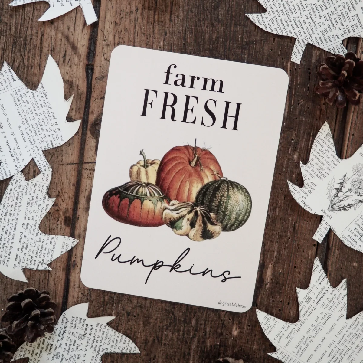 Carte postale Farm pumpkins Saldi Straordinari Offerte Speciali Disponibili Adesso