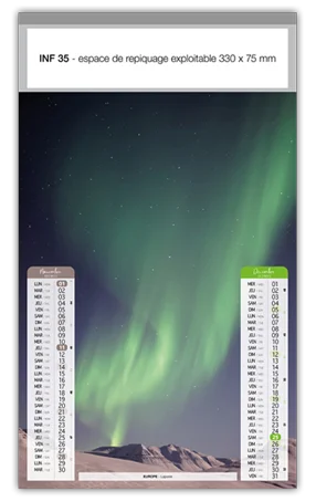 Calendrier publicitaire mural mois page Continents Vins Rouges Harmonieux Occasion