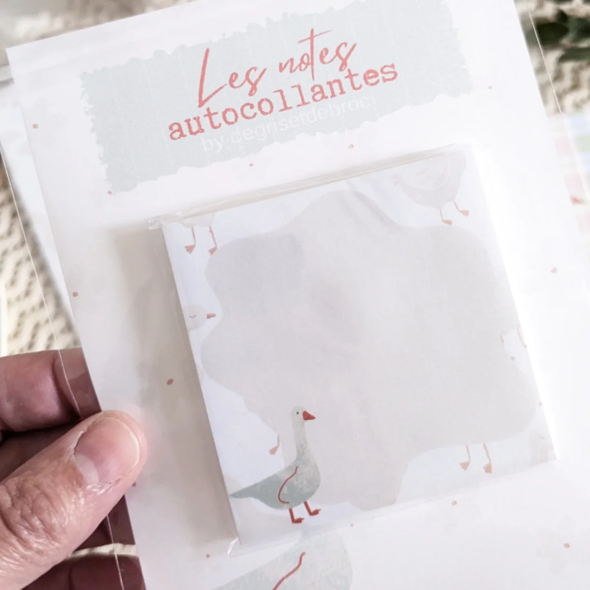 Notes autocollantes Petite Oie - Saldi Straordinari – Offerte Speciali Disponibili Adesso Note adhésive 50 feuilles transparentes 8x10,5cm | GIFI