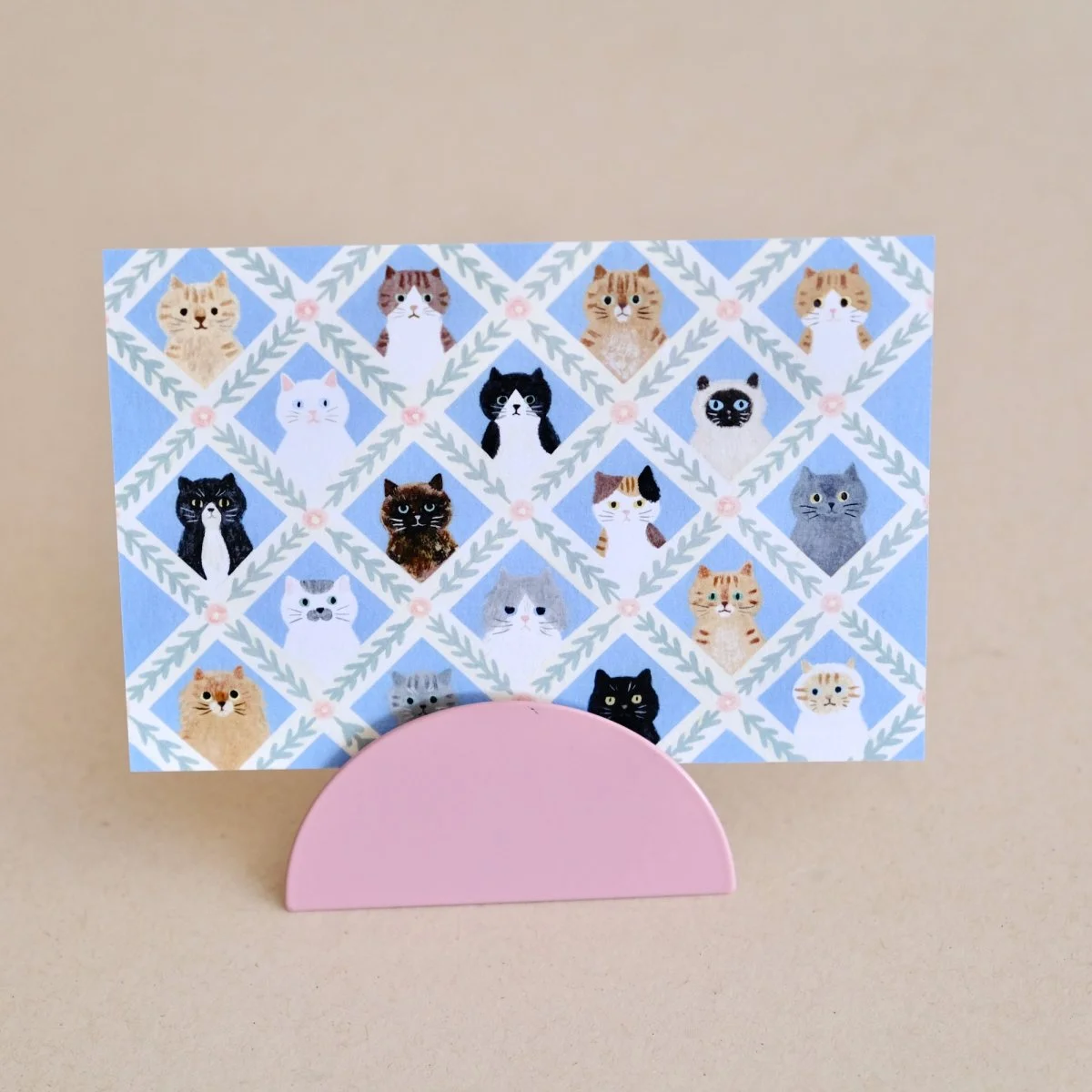 Carte Postale Cat Faces - Organisation de la maison avec des solutions de rangement - Sous sol