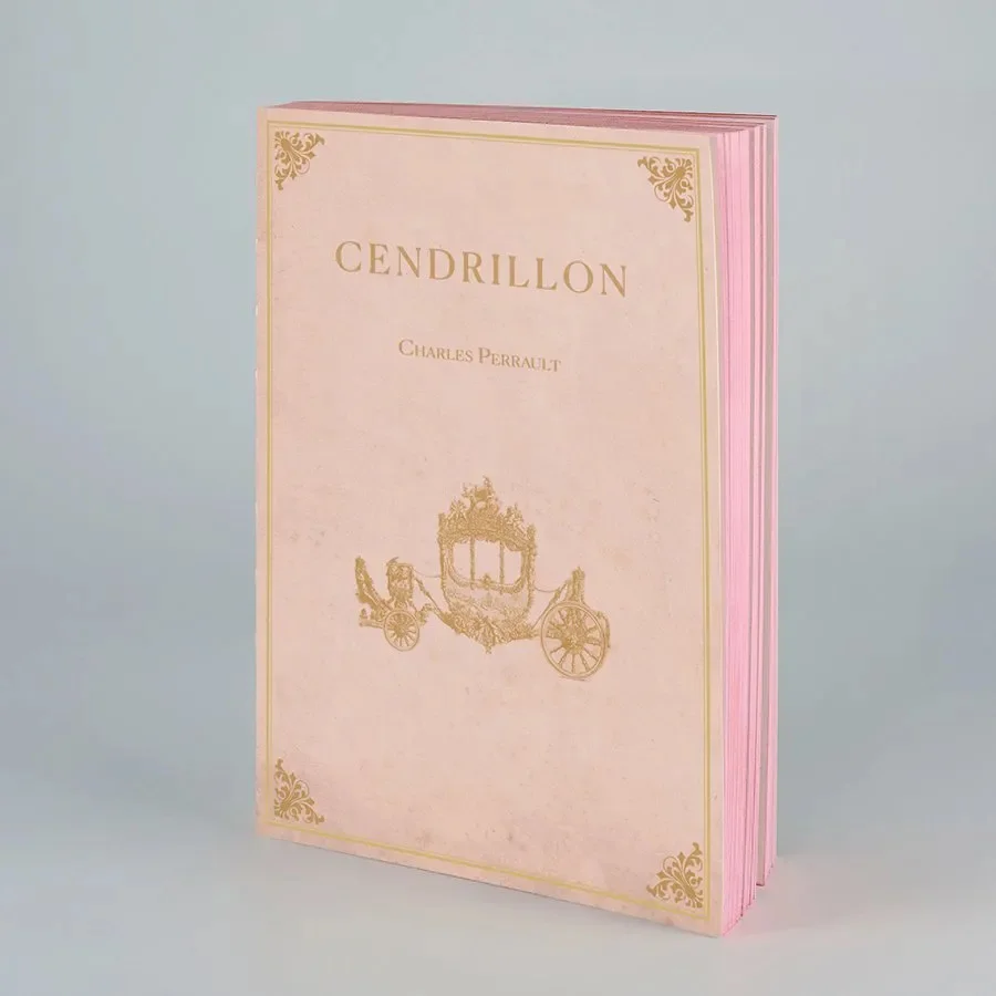 Carnet-Livre Cendrillon - Organisation de la maison avec rangement des solutions de rangement