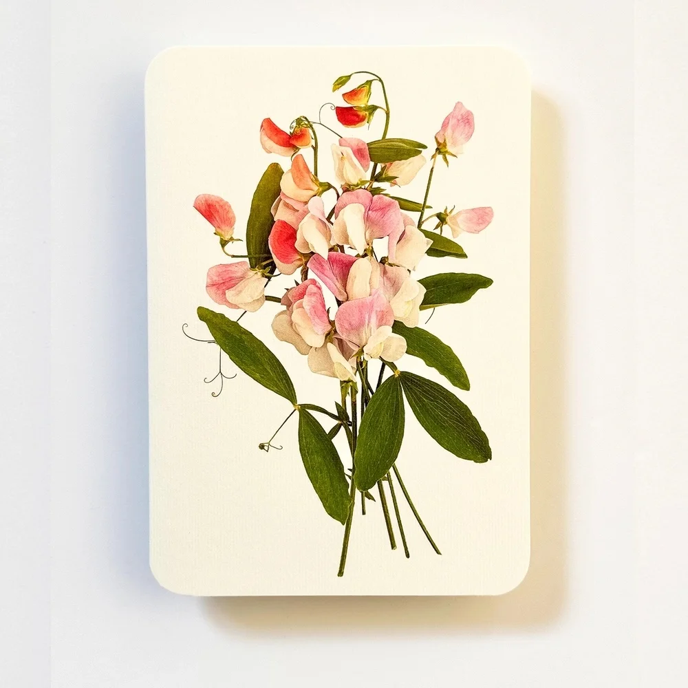 Carte de Voeux Pois culture de Senteur Roses  - Organisation de la maison avec des solutions de rangement