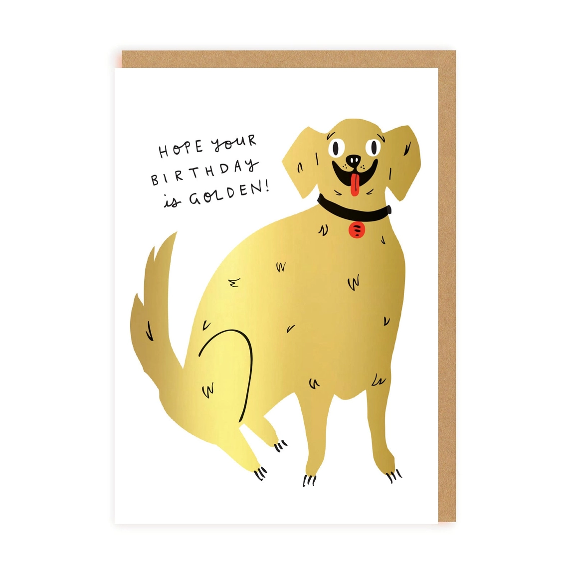Carte Golden Dog Organisation maison solutions rangement