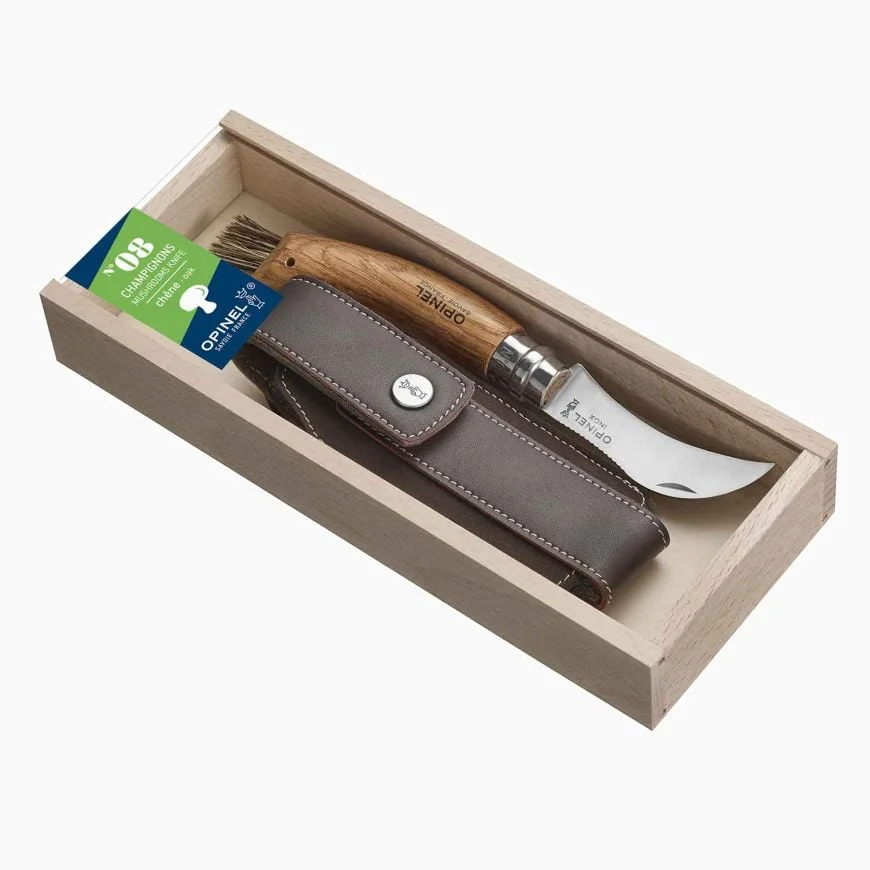 Plumier N°08 Champignon + Gaine - Rouges Vins Rouges Harmonieux pour Chaque Occasion