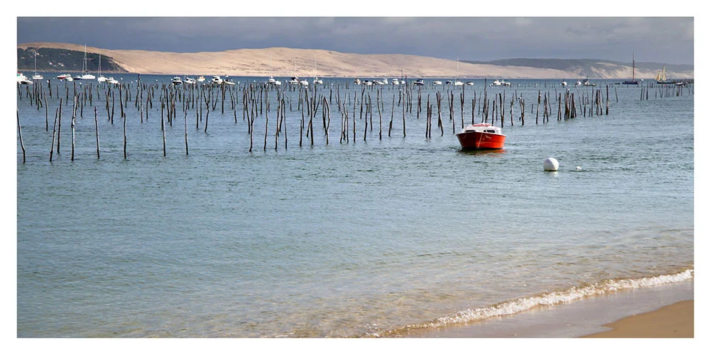 Carte postale – chambre La Dune du Pyla – Bassin d’Arcachon - Vins Rouges Harmonieux pour Chaque Occasion