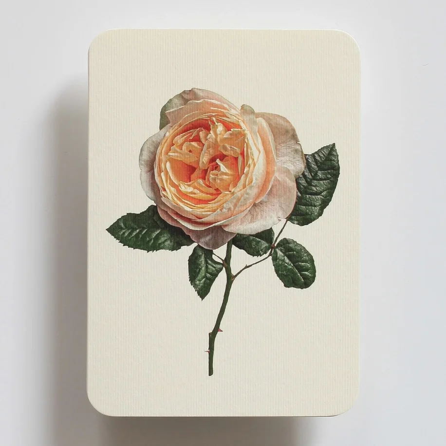 Carte Voeux Soft Peach Rose Organisation maison solutions rangement