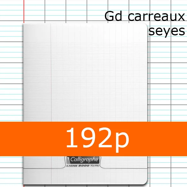 Cahier incolore petit format 192p grands carreaux seyès Calligraphe Organisation maison solutions rangement