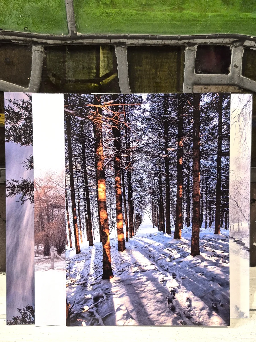 Carte Hivernale - Ghyslaine Payant - Saldi Straordinari – Offerte Speciali Disponibili Adesso 📍 Carte de France routière - Poster plastifié 100x100cm - Boutique