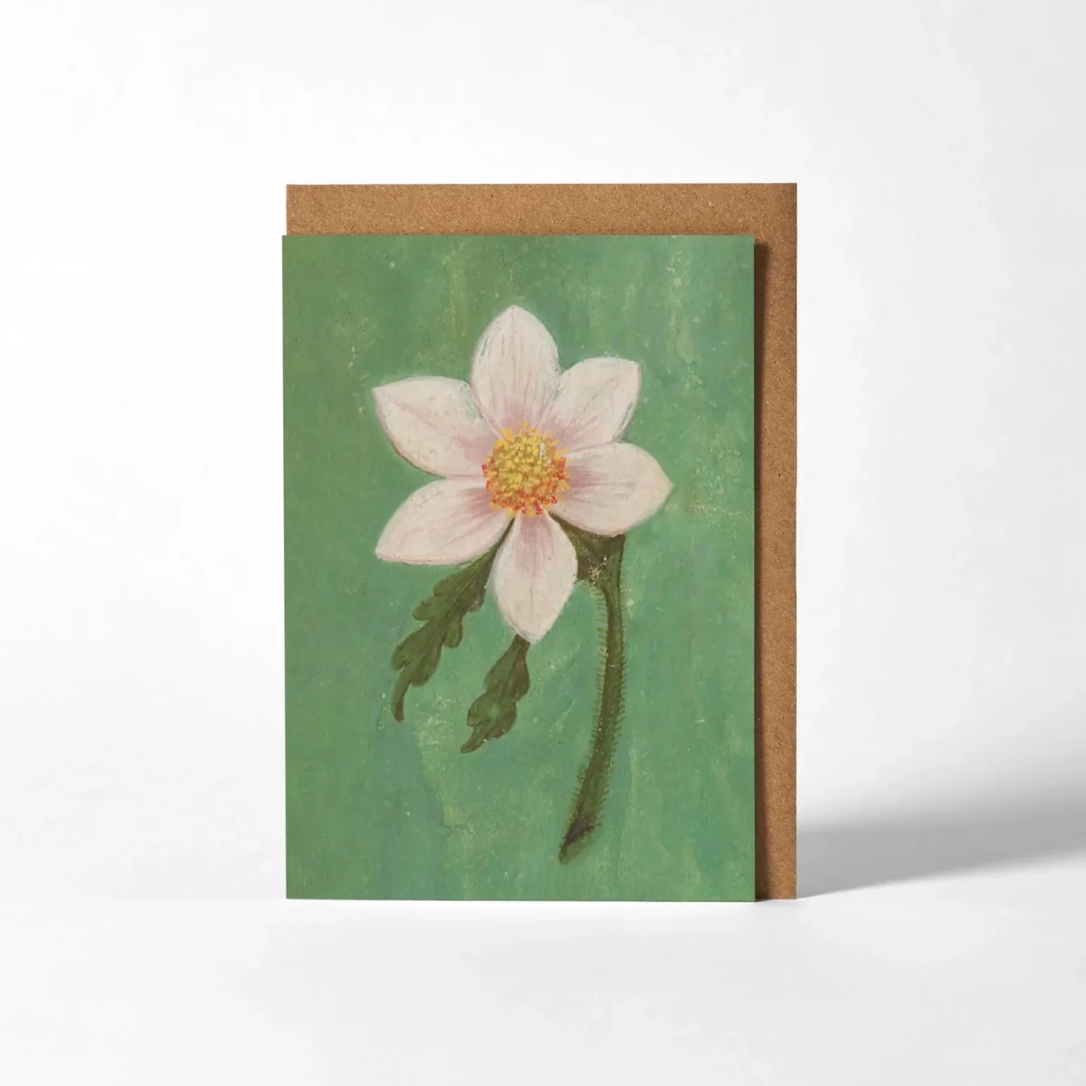 Carte de vœux Fleur blanche - Roomytown - Organisation de la maison avec des solutions de rangement - {'count': 2, 'name': 'séparateurs'}