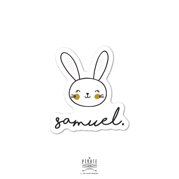 Stickers naissance lapin personnalisé, thème animaux - Saldi Straordinari – Offerte Speciali Disponibili Adesso - Theme chevreuil