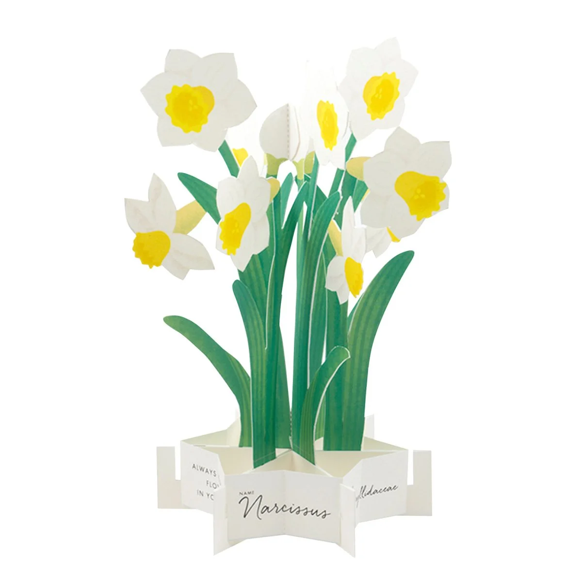 Carte Pop Up Jonquilles - Organisation de la maison avec des solutions de rangement - cuisine carte organisation maison solution rangement