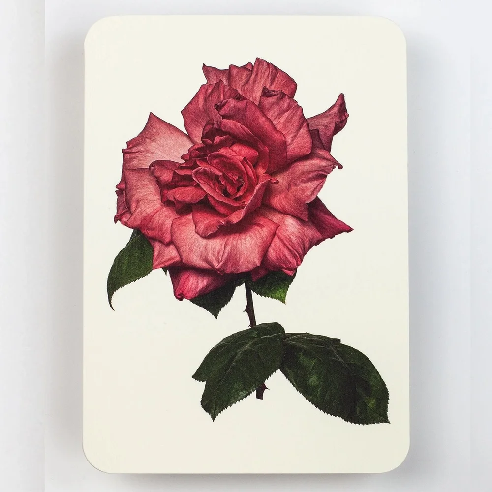 Carte Voeux Garden Rose Organisation maison solutions rangement