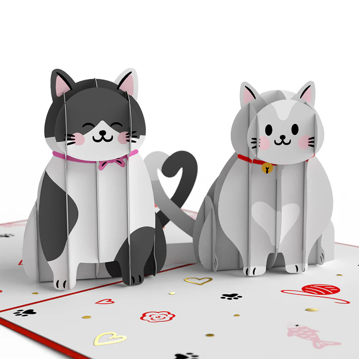 Carte 3D You’re Purrfect - Organisation de la maison avec des solutions de rangement 1moispourtoutranger : semaine 1 - ON RANGE TOUT