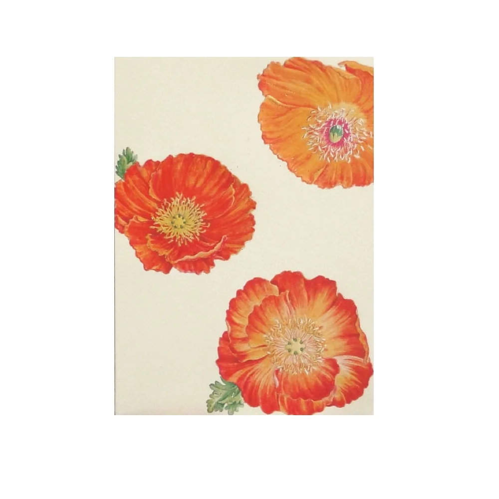 Carte Coquelicots Flamboyants - Organisation de la maison avec des solutions de rangement Made