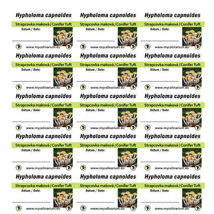 Labels pcs mm Hypholoma capnoides Strapcovka Saldi Straordinari Offerte Speciali Disponibili Adesso
