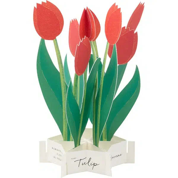 Carte Pop Up Tulipe Organisation maison solutions rangement