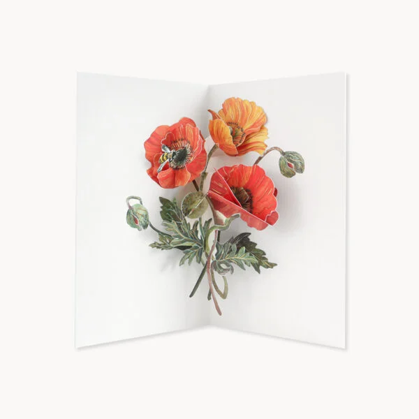 Carte pop-up Poppies - Organisation de la maison avec des solutions de rangement - Rangement cuisine