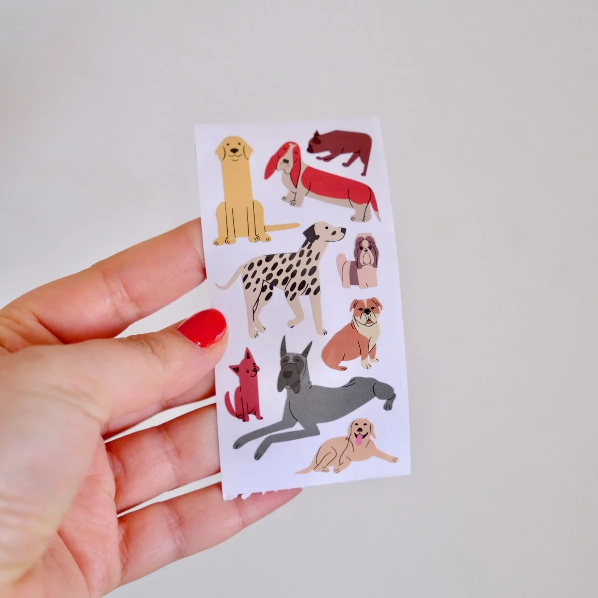 Stickers Fido Organisation maison solutions rangement