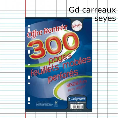 Paquet feuilles pages lignes écriture seyes CALLIGRAPHE Organisation maison solutions rangement