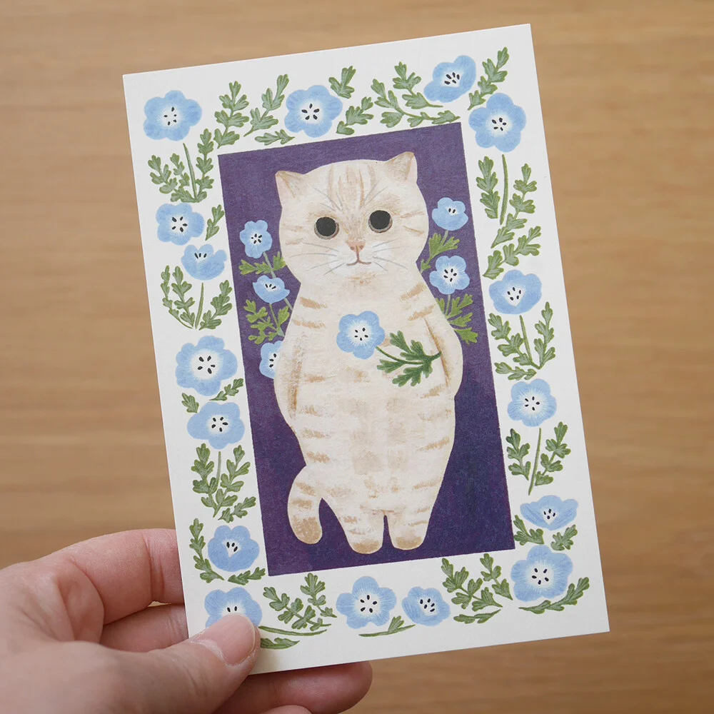 Carte Chat Crème aux Repose Anémones - Organisation de la maison avec des solutions de rangement