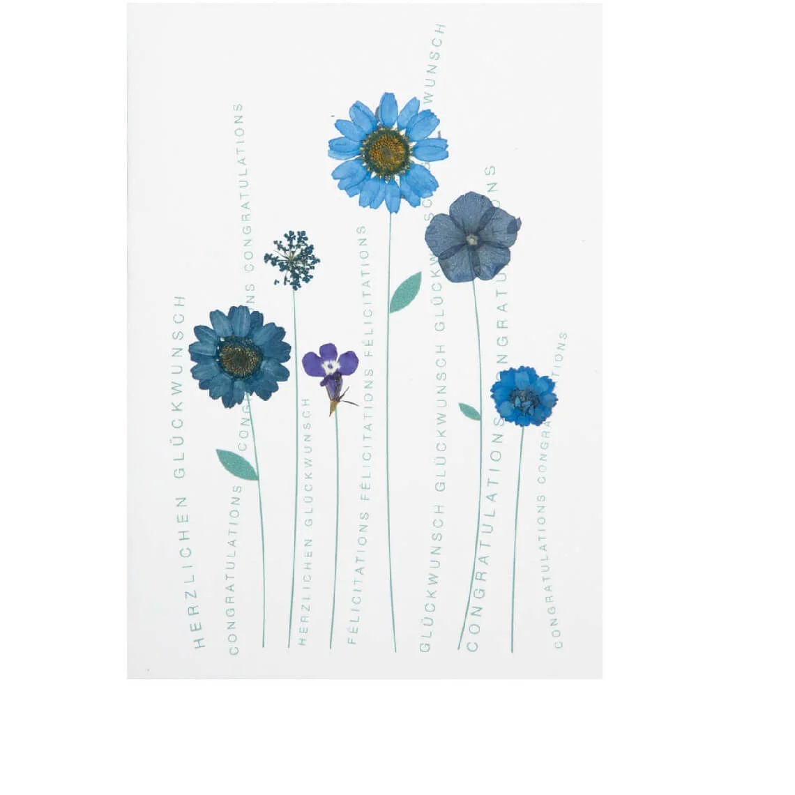 Carte fleurs « Félicitations » – Räder - Édition Limitée – L’Art de la Table Française en Promotion ! - {'count': 1, 'name': 'Dreams'}