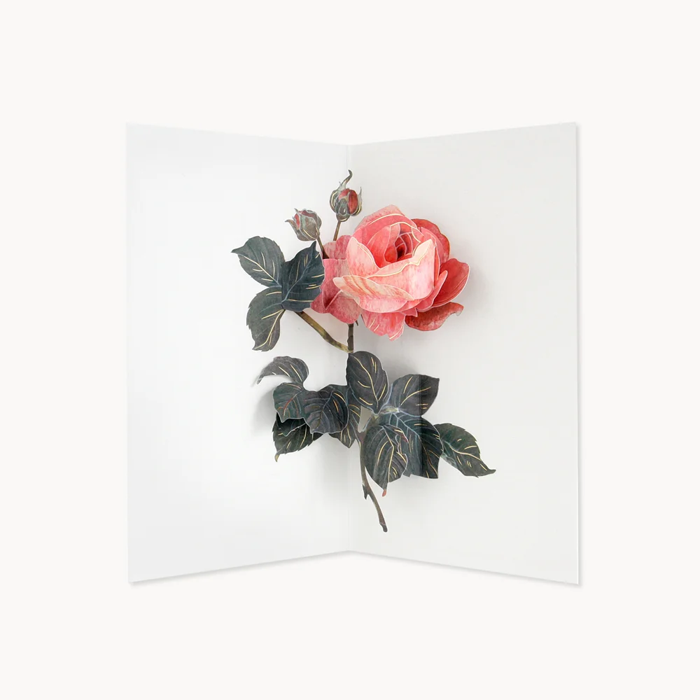 Carte pop-up Rose Ancienne - Organisation de la maison avec des solutions de rangement - Jeu