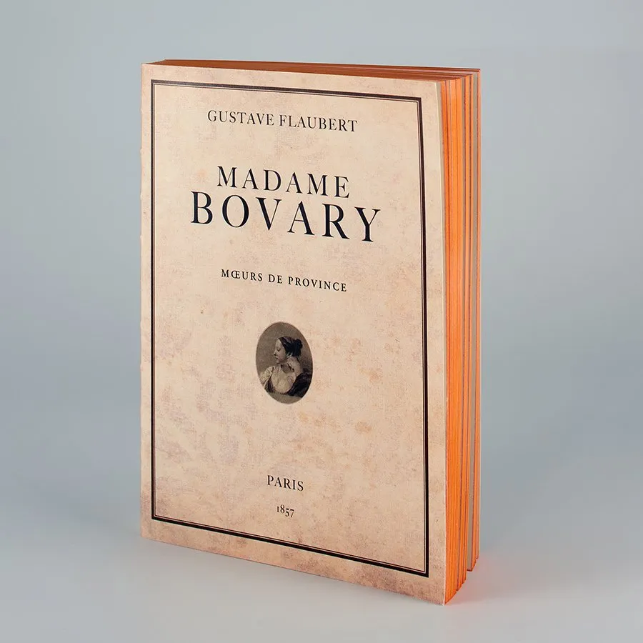 Carnet-Livre Madame Bovary - Organisation de la maison avec des solutions de rangement - astuce rangement monsieur organisation maison solution rangement