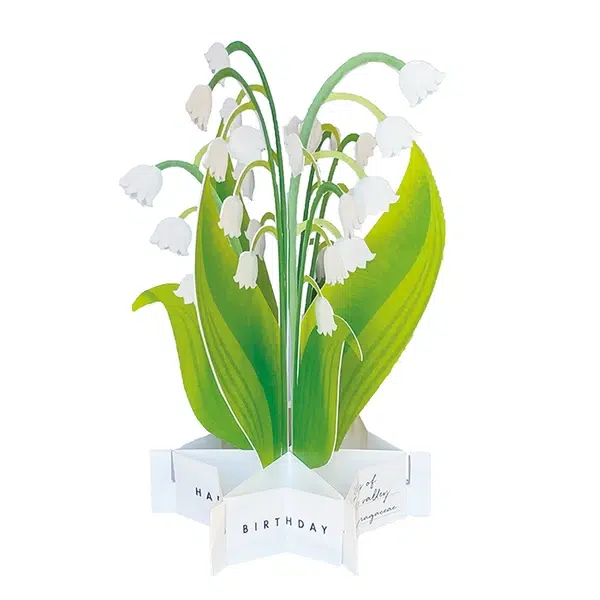Carte Pop up Anniversaire Muguet Organisation maison solutions rangement