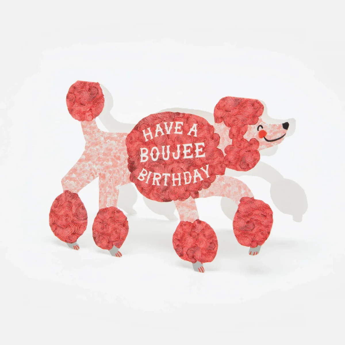 Carte Anniversaire – Boujee Birthday - Organisation de la maison avec des solutions de rangement Calendrier de rangement : 30 jours pour tout ranger