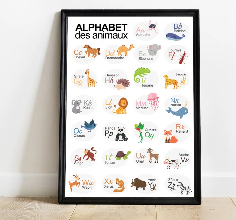 Affiche éducative abécédaire Alphabet animaux Accessoires pratiques maison intérieur fonctionnel