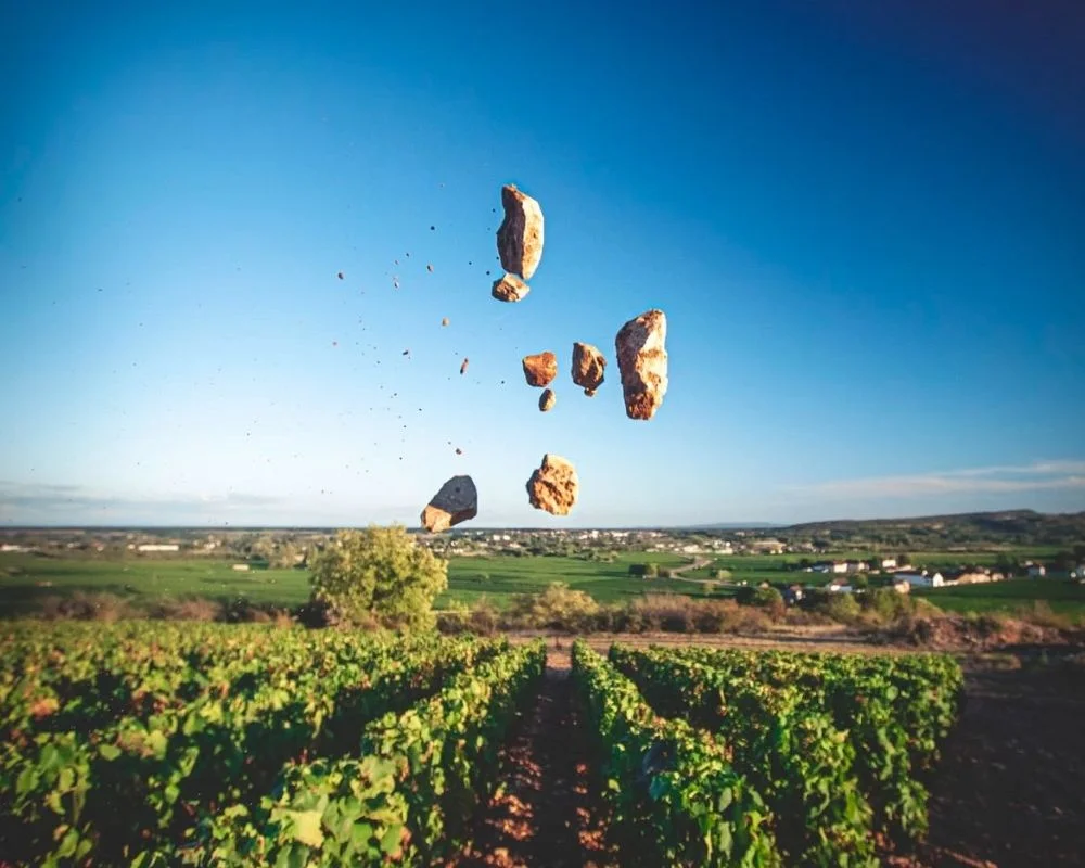 Expertise en Vins Carthagène bilingue anglais en ligne – LTE Certification - Vins Rouges Harmonieux pour Chaque Occasion