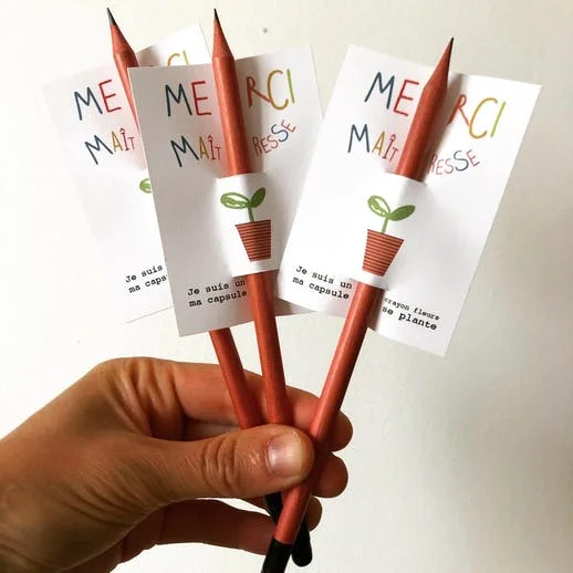 Crayon à Planter – Cadeau pour Maîtresse - Édition Limitée – L’Art de la Table Française en Promotion ! - {'count': 1, 'name': 'sublicreation'}