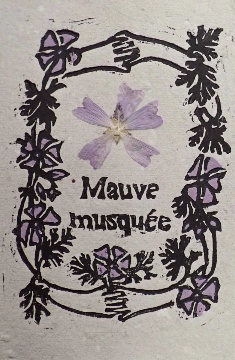 Cartes « Semer la douceur », Mauve musquée - Saldi Straordinari – Offerte Speciali Disponibili Adesso - carte postale carte douceur